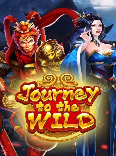 Discover the Thrills of MegaWin Casino Gaming Adventure